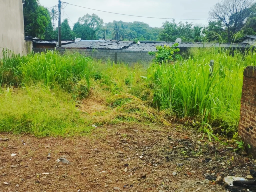 4 Perch residential land for sale in Wellampitiya Kapittawatta Ref AA 1261