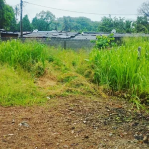 4 Perch residential land for sale in Wellampitiya Kapittawatta Ref AA 1261